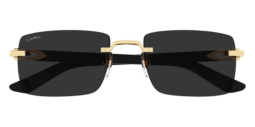 cartier-ct0579s-001-hd-2_1024x