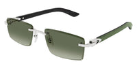 Cartier CT0582S 005