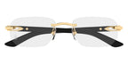 Cartier CT0583O 001 Glasses