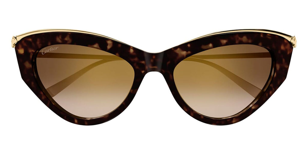 cartier-ct0596s-002-hd-2_1024x