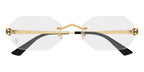 Cartier CT0599O 001 Glasses