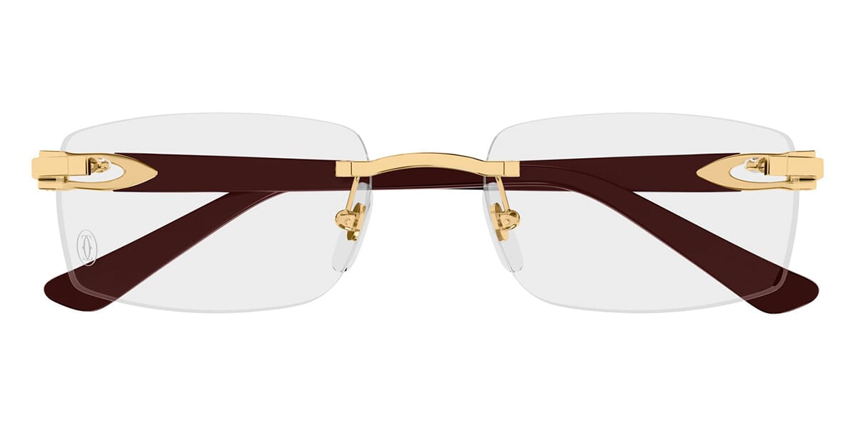 Cartier CT0607OJ 002 Glasses