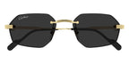 Cartier CT0616S 001 Sunglasses