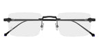 Cartier CT0619O 003 Glasses