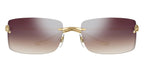 Cartier Panthere CT0503S 003 Sunglasses