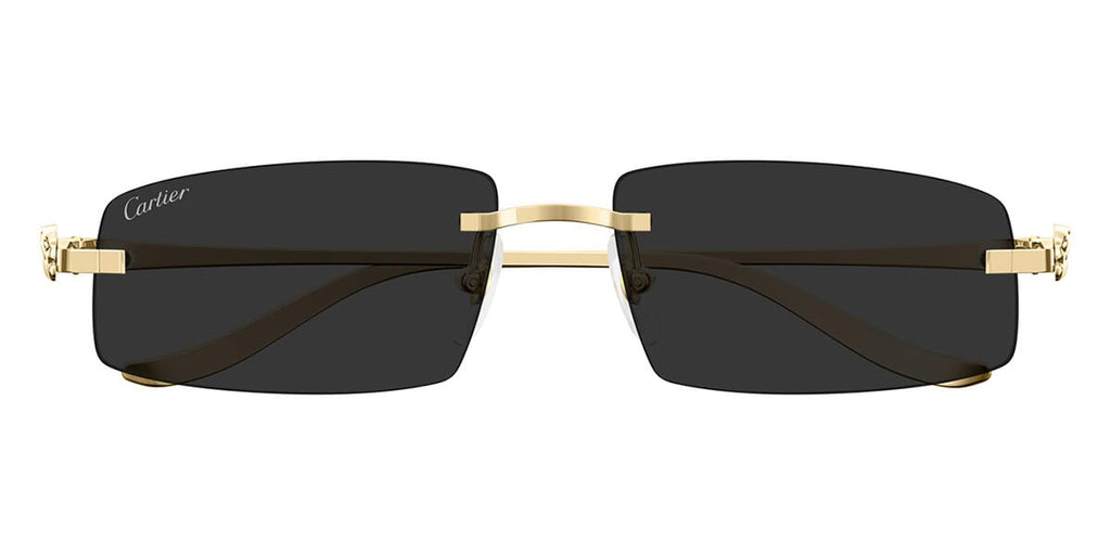 cartier-panthere-ct0505s-001-