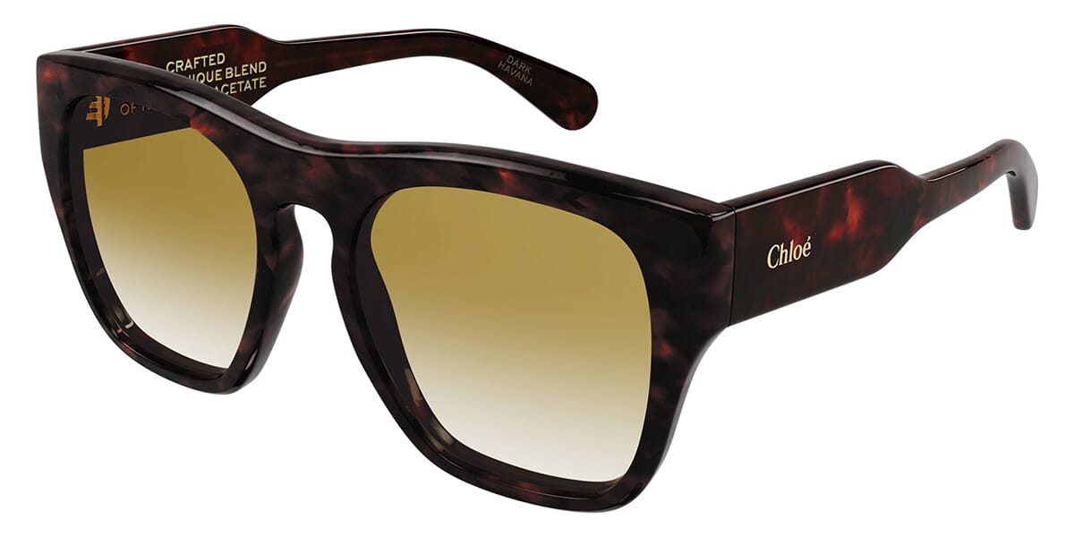 Buy Tom Ford Unisex Round Havana Sunglasses Online - 952449 | The Collective