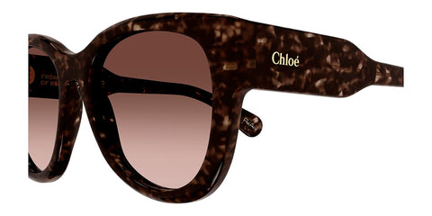 Chloe CH0192S 002 Sunglasses