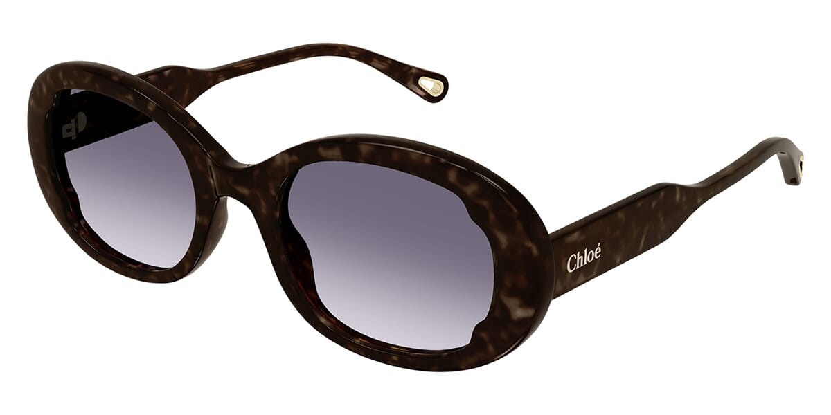 Chloe sunglasses 2024 tortoise shell