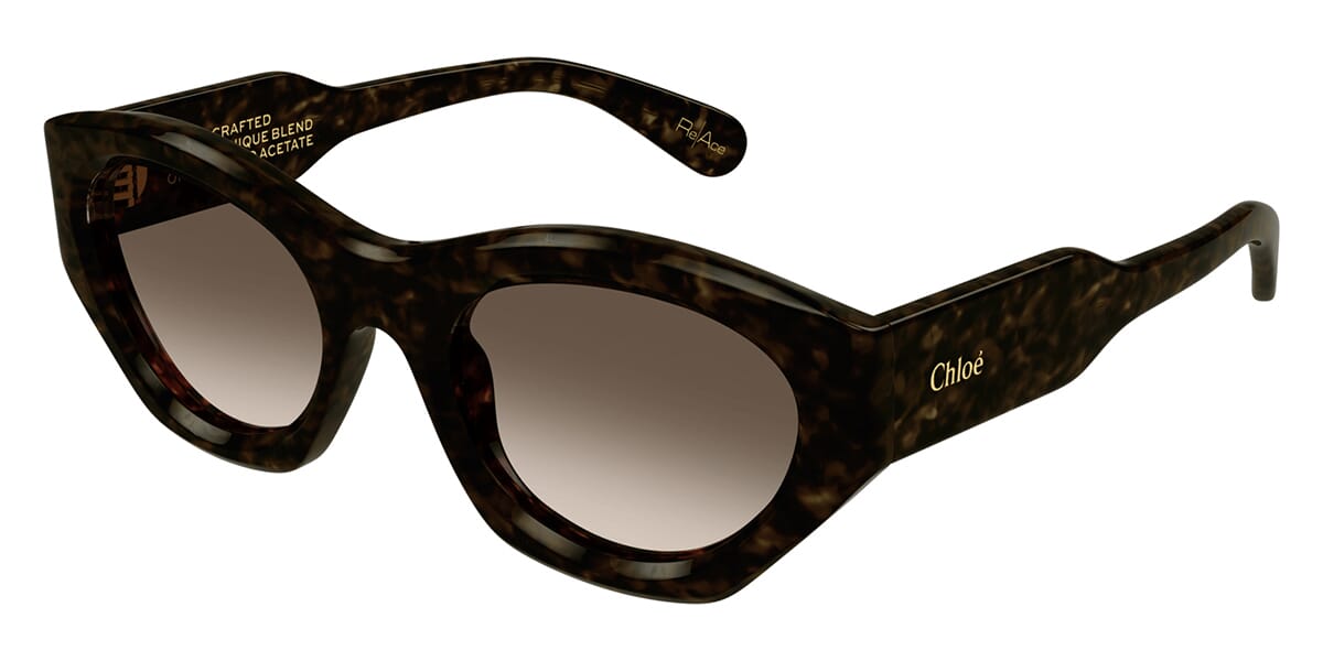 Chloé cat discount eye sunglasses