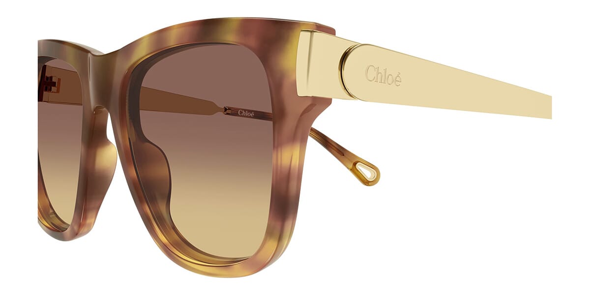Chloe CH0349S 002 Sunglasses