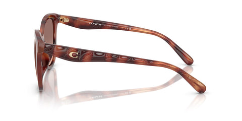 Coach Cad25 HC8419U 5774/13 Sunglasses