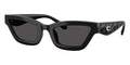 Coach Cad28 HC8420U 5002/87 Sunglasses