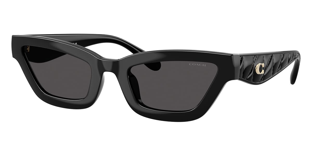 Coach Cad28 HC8420U 5002/87 Sunglasses