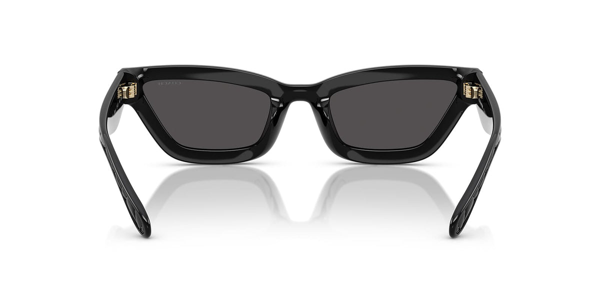 Coach Cad28 HC8420U 5002/87 Sunglasses
