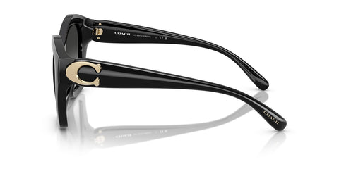 Coach Cad31 HC8421U 5002/3C Sunglasses