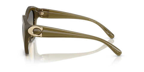 Coach Cad31 HC8421U 5872/L0 Sunglasses