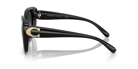 Coach Cad33 HC8422U 5002/3C Sunglasses