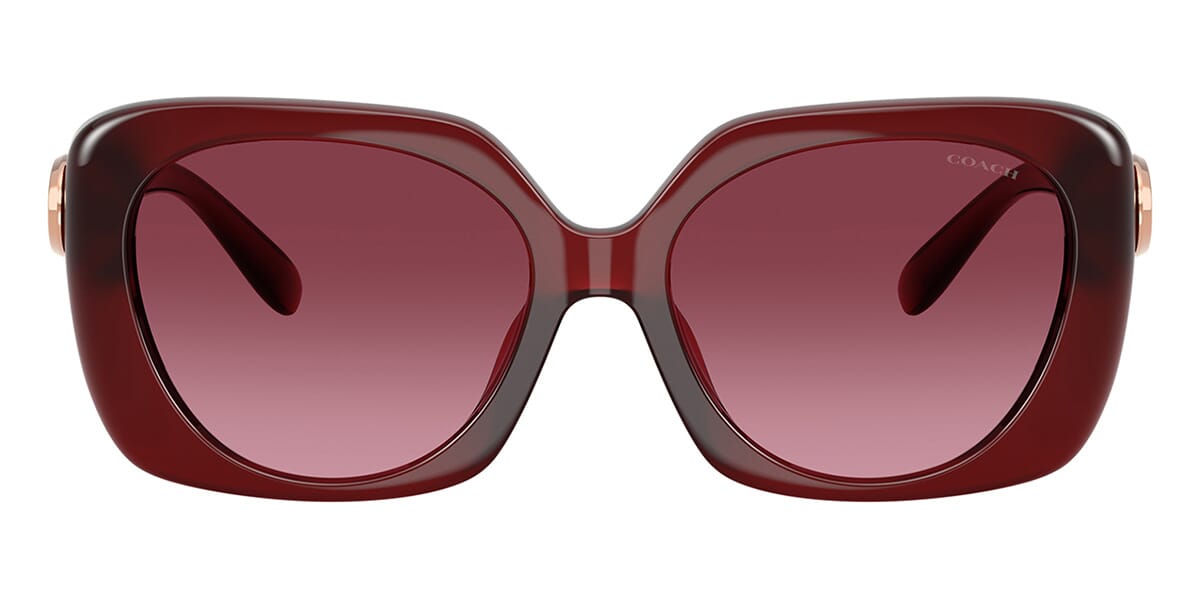 Coach Cad33 HC8422U 5870/8H Sunglasses