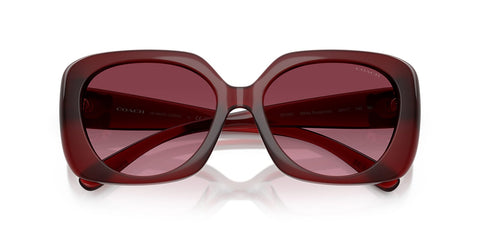 Coach Cad33 HC8422U 5870/8H Sunglasses