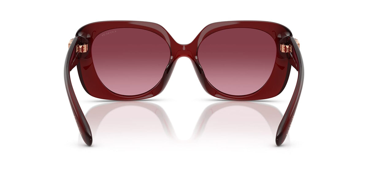 Coach Cad33 HC8422U 5870/8H Sunglasses