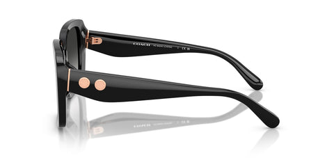 Coach Cad54 HC8424U 5002/3C Sunglasses