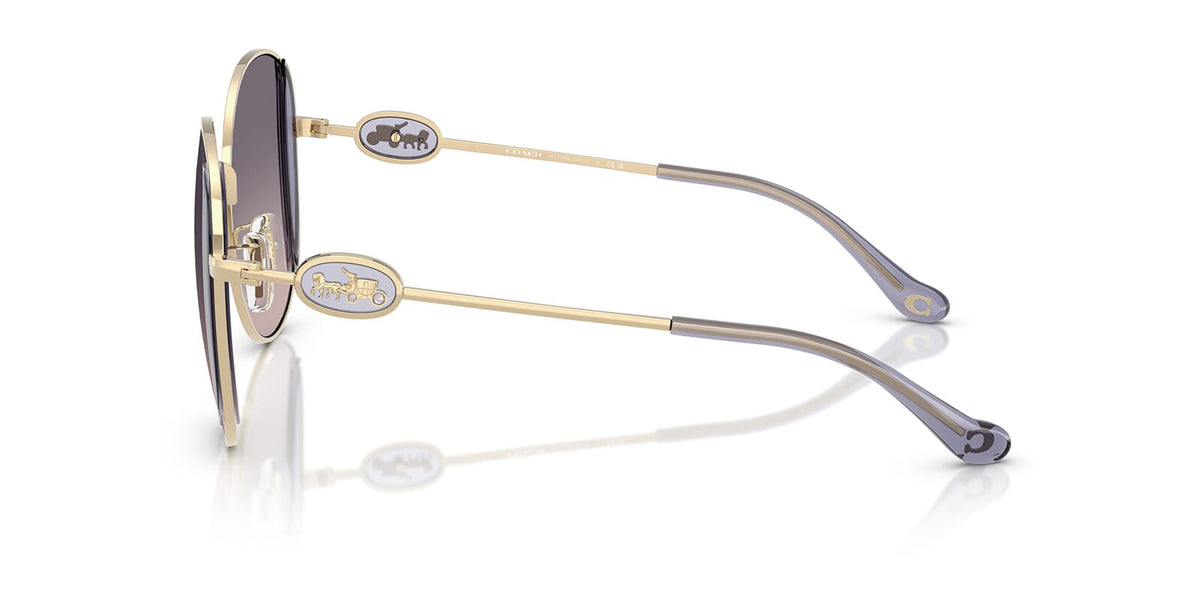 Coach Cad73 HC7176B 9005/36 Sunglasses