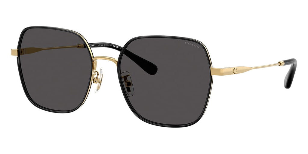 Coach Cae93 HC7180D 9466/87 Sunglasses