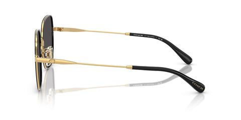 Coach Cae93 HC7180D 9466/87 Sunglasses