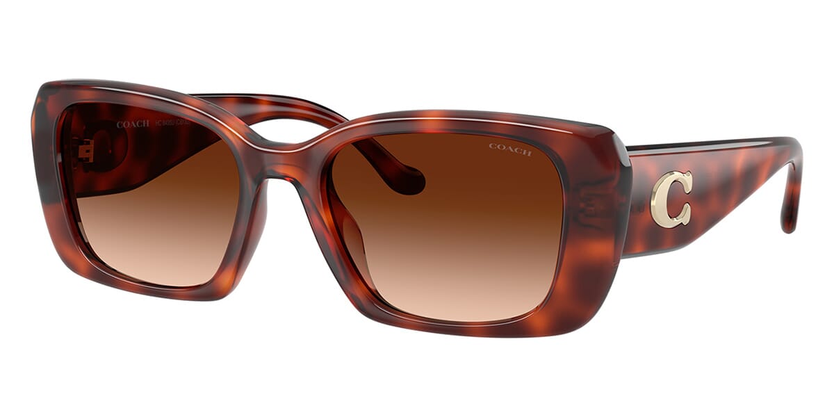 Coach CBY82 HC8435U 5774/74 Sunglasses - US