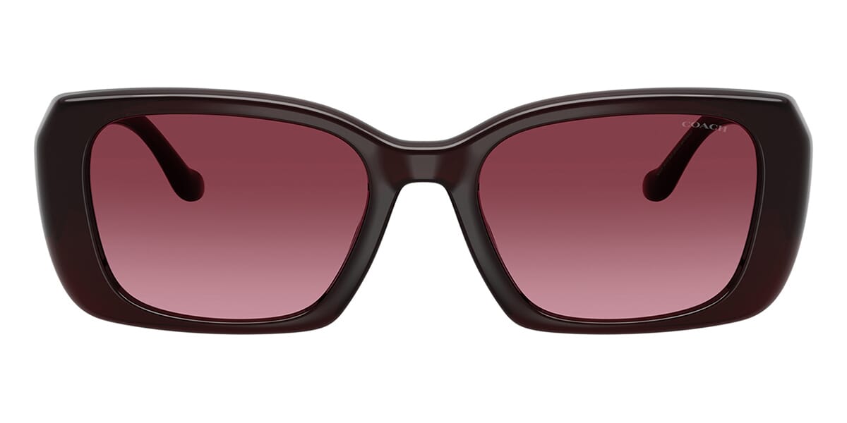 Coach CBY82 HC8435U 5915/8H Sunglasses