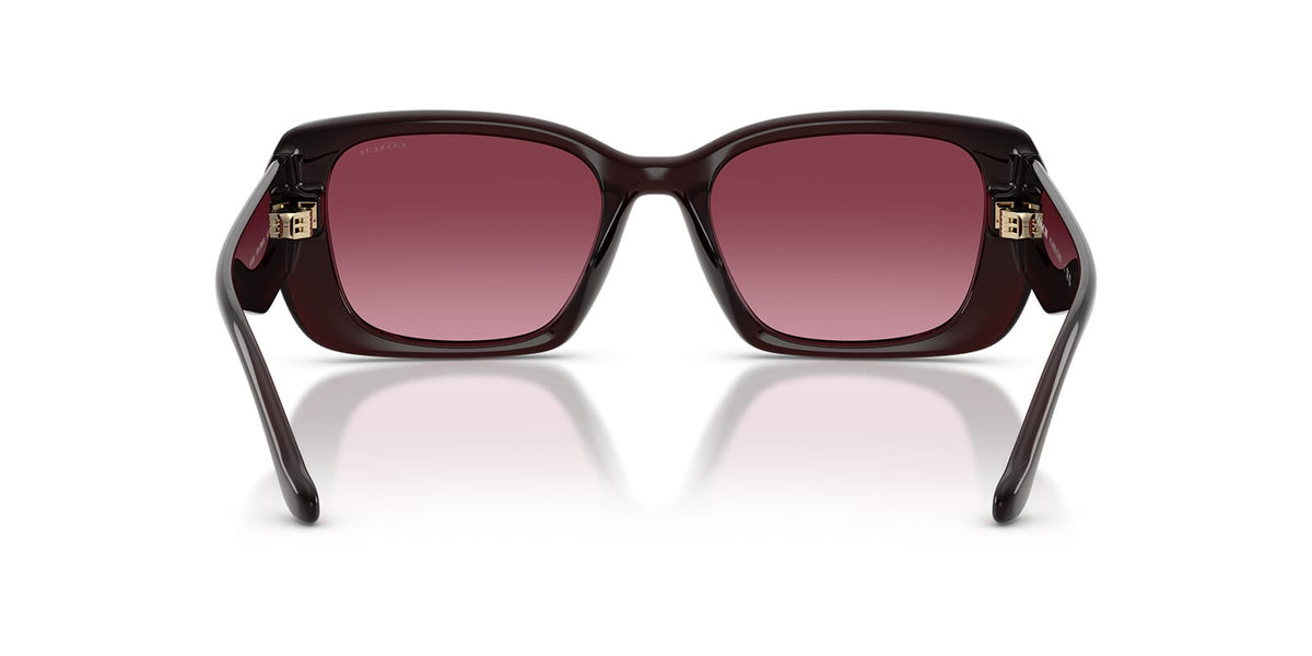 Coach CBY82 HC8435U 5915/8H Sunglasses