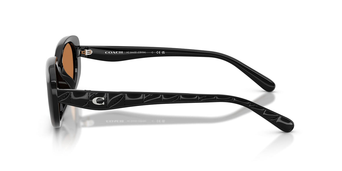 Coach CBY84 HC8443D 5002/73 Sunglasses