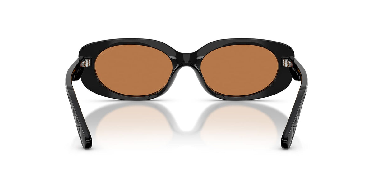 Coach CBY84 HC8443D 5002/73 Sunglasses