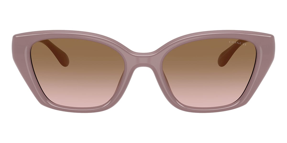 Coach CBY91 HC8434U 5495/11 Sunglasses