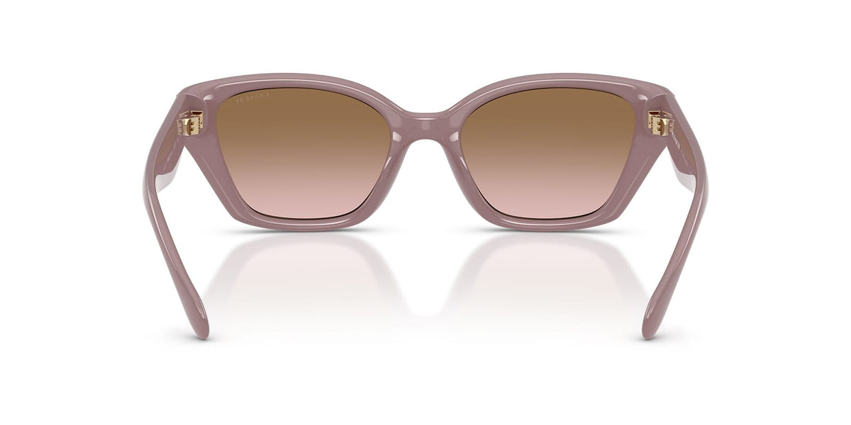 Coach CBY91 HC8434U 5495/11 Sunglasses