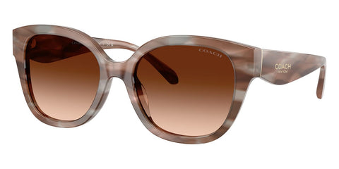 Coach CBY94 HC8438U 5901/74 Sunglasses