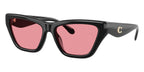 Coach Cdp33 HC8449U 5002/84 Sunglasses