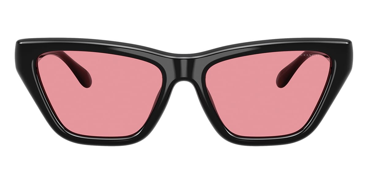 Coach Cdp33 HC8449U 5002/84 Sunglasses