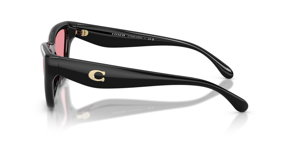 Coach Cdp33 HC8449U 5002/84 Sunglasses