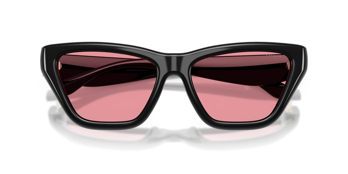Coach Cdp33 HC8449U 5002/84 Sunglasses