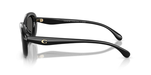 Coach Cdp35 HC8448U 5002/87 Sunglasses