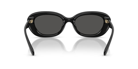 Coach Cdp35 HC8448U 5002/87 Sunglasses
