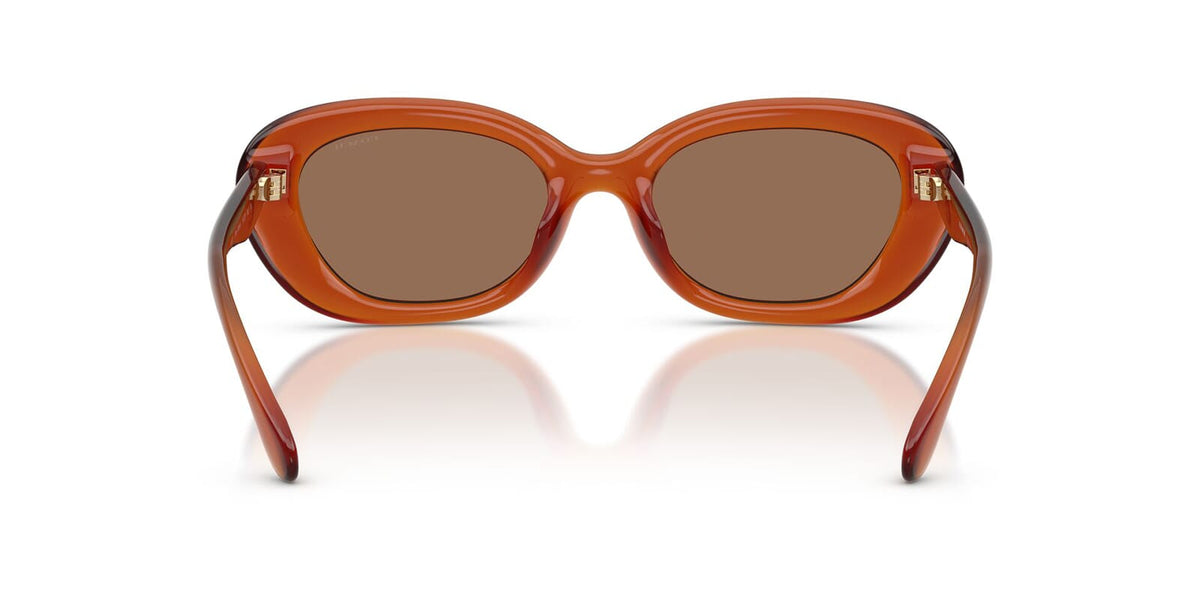 Coach Cdp35 HC8448U 5930/73 Sunglasses