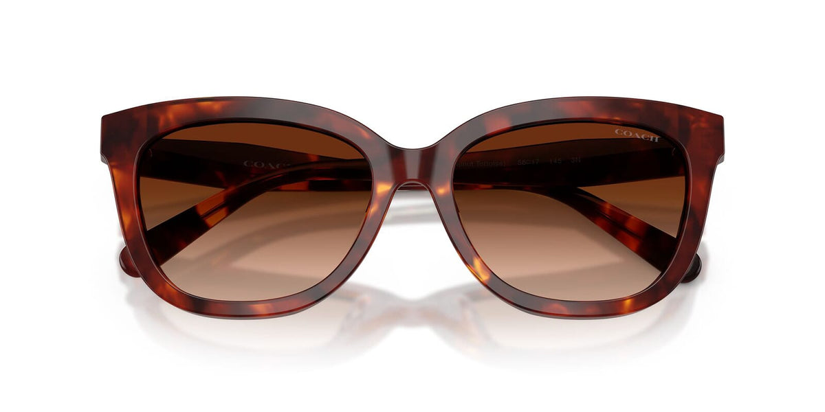 Coach Cdp35 HC8453U 5938/74 Sunglasses