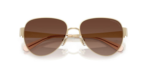 Coach Cdp37 HC7186 9005/87 Polarised Sunglasses