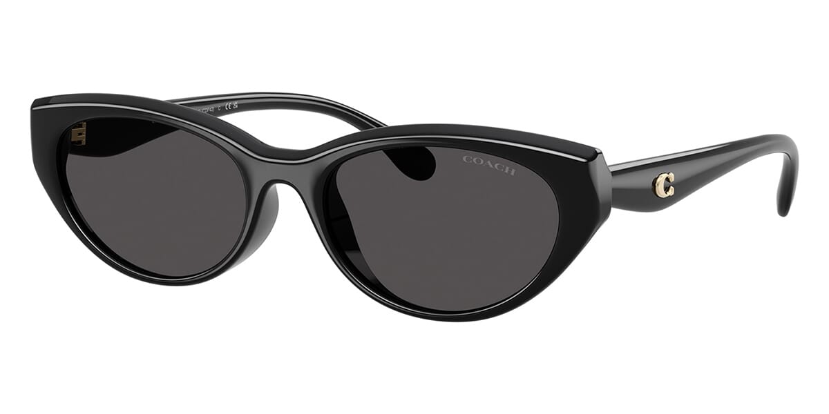 Coach Cdp42 HC8456D 5002/87 Sunglasses