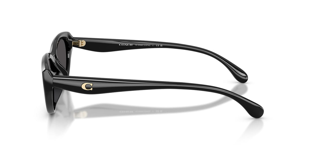 Coach Cdp42 HC8456D 5002/87 Sunglasses