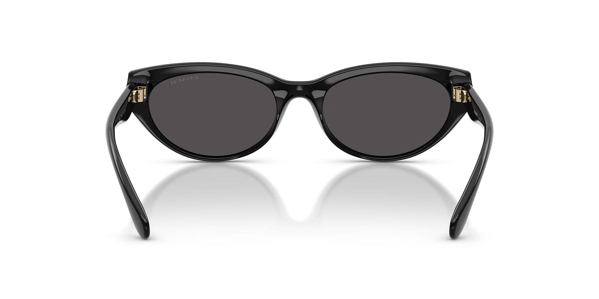 Coach Cdp42 HC8456D 5002/87 Sunglasses