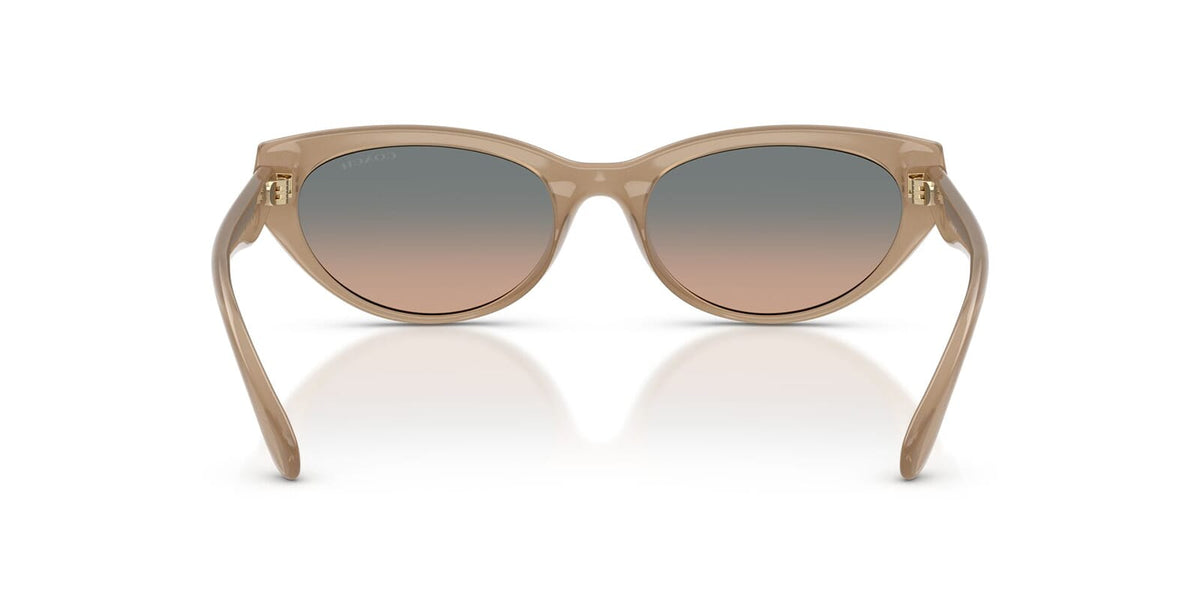 Coach Cdp42 HC8456D 5944/13 Sunglasses